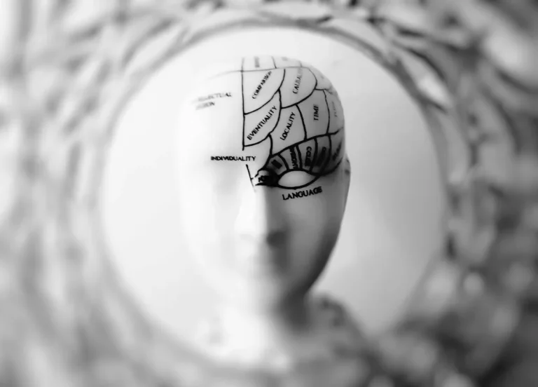 Black and white photo of a ceramic head model with labeled brain sections representing areas like individuality, creativity, and language.